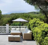 Wonderful house with large pool and forest