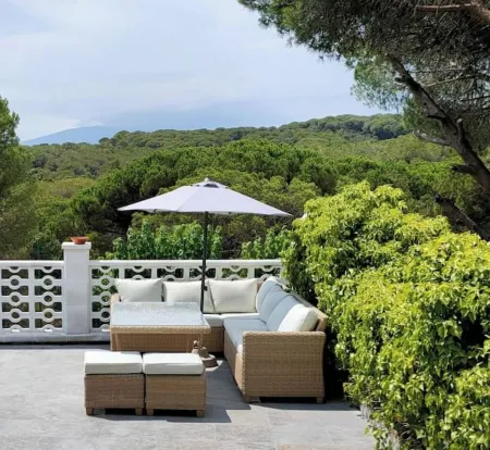 Wonderful house with large pool and forest