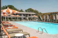 Uncommoner Hotel by Reverie Boutique Collection - Beach