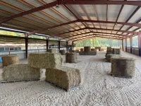 Lovely Farm Cabin Experience