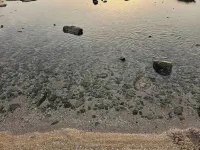 Studio Meublé à Yenne Dakar Auprès de la Plage Pied Dans L'eau