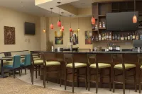 Hilton Garden Inn Odessa - bar