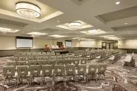Embassy Suites by Hilton Minneapolis Downtown