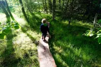 West Dell - Hotels in Nethy Bridge