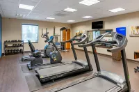 Comfort Inn & Suites Lynchburg Airport - University Area - Gym