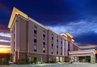 Hampton Inn by Hilton Ozona Hotels in Ozona