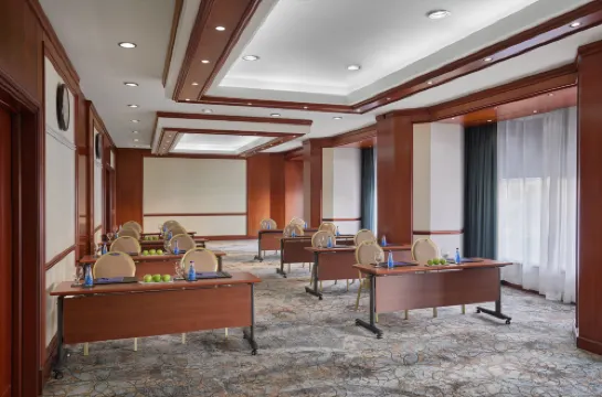 هيلتون رمسيس مرافق الأعمال Photos