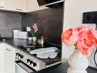 Modern apartment ZS15 with WLAN and fully equipped kitchen Hotels in Freital