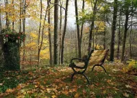 Perfect Getaway - Your Sanctuary Among Nature
