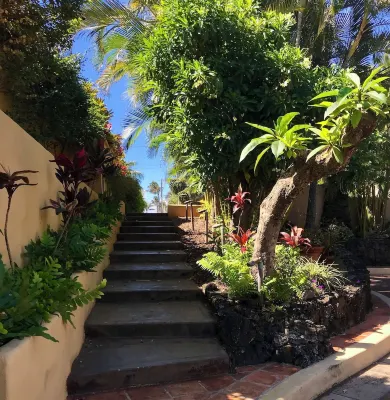 Locally-owned, eco-friendly condo on Road to Hāna. 2-min walk to beach & seafood