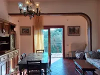 Verde Mare apartment with sea view surrounded by ancient olive trees animals allowed