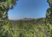 This light and bright cabin will capture your heart and relax your mind!