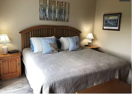 Cozy Getaway Near All the FUN! Harbor Springs/Petoskey