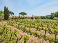 Magnificent villa - AC- 5BR-12P- Ramatuelle