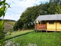 Apartment in Marche with Pool near Adriatic - Apartments