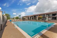 Quality Inn Paris Texas - piscine
