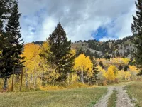 Custom Mountain Home, Great Skiing and Hiking ~ Premier Host and Home! 5 Stars Hotels in Teton Village