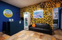 Onça da Praia Hostel