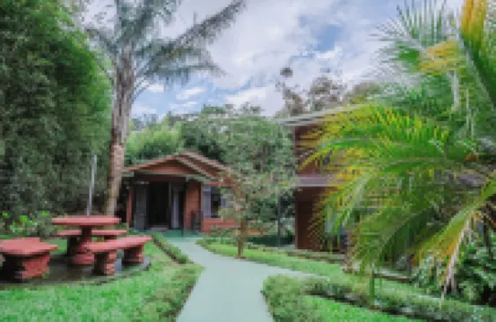 Dreams Lodge