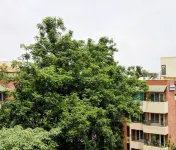 Transtree at Whitefield | 企業住宿 - 停車場