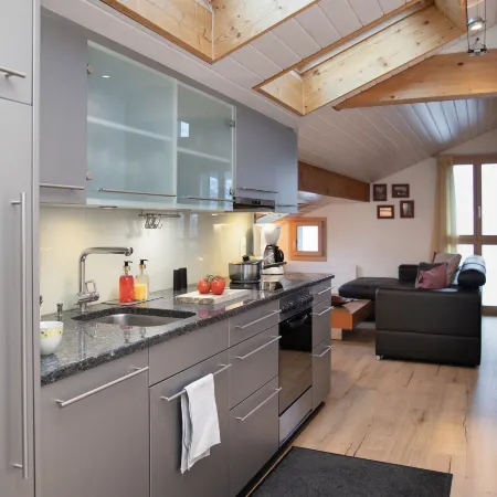 Breithorn Residence Apt.09