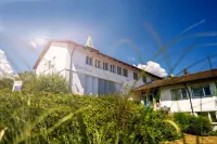 Sapia Hotel St. Fridolin Hotels in Rickenbach