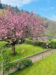 Le Gite De Cadran Solaire (3 Bedrooms, Sleeps 8)