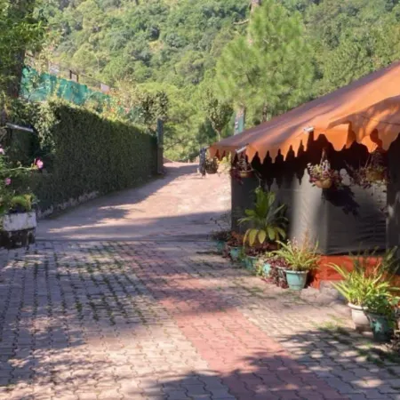 PHS KASAULI HILLS