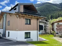 Bergzeit Flat Saalbach Directly on the ski Piste