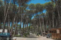 Camping Village Mare Pineta - Bãi đậu xe