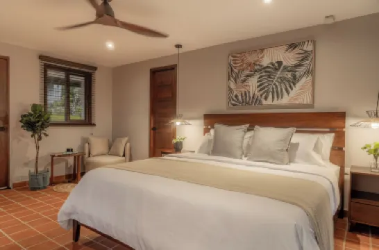 Hotel Alto Monte Hotels in 