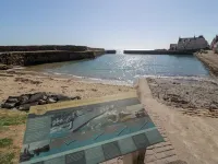 Isle of May View