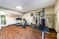 Comfort Inn Festus-St Louis South - gimnasio