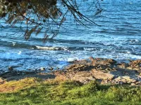 Premium stay with terrace and BBQ Hotels in Savudrija