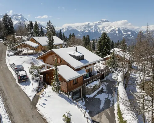 Chalet Petit Pont Hotels in Ollon