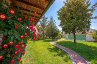Villa Clara Few km from the Sea - Happy Rentals - Villas