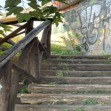 La Ginestra