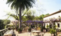 Terra Dominicata - Hotel & Winery - parking