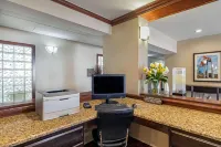 Comfort Suites North Dallas - Jacuzzi