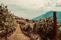 Agriturismo Mas dei Chini - Mountain View