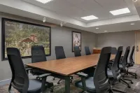 Hampton Inn Dubuque - Badekar