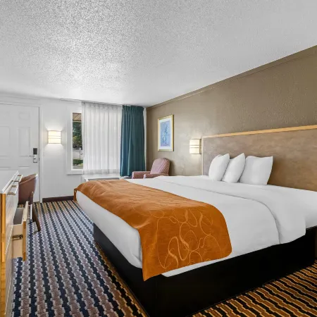 Rodeway Inn Sharonville