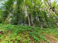 盛開的隱居處 - 綉球花小屋 - SPA