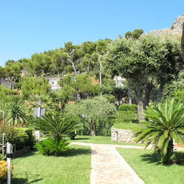 Costa di Kair ed Din