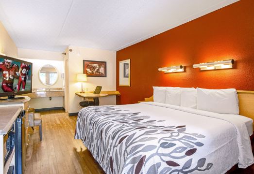 2. 레드 루프 인 ..