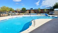 The Classic Desert Aire Hotel - Pools