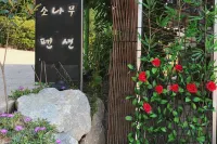 Damyang Sonamu Pension Hotels in Damyang