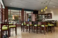 Hilton Garden Inn Wisconsin Dells - bar