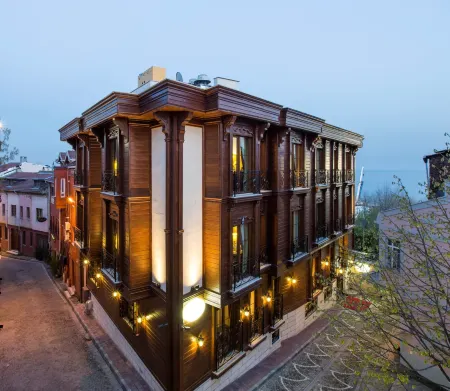 GLK Premier Sea Mansion Suites & Spa - Special Class Отели рядом с достопримечательностью «Лунапарк Бостанджи»