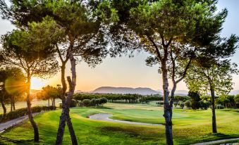 a beautiful golf course with lush green grass , trees , and a pond , set against the backdrop of a beautiful sunrise at El Plantío Golf Resort